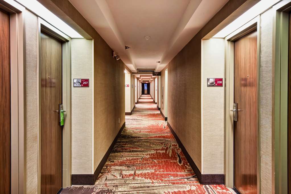 Hampton Inn Starkville Interiør billede